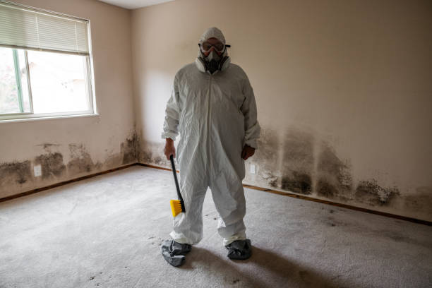 Best Professional Mold Removal  in Spring Hope, NC